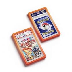 DRAGON SCALE -  PSA BUMPER GUARDS - RADIANT BLAZE