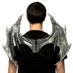 DRAGONS -  DRAGON WINGS (17