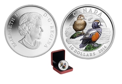 DUCKS OF CANADA -  HARLEQUIN DUCK -  2014 CANADIAN COINS 04