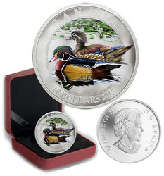 DUCKS OF CANADA -  THE WOOD DUCK -  2013 CANADIAN COINS 02