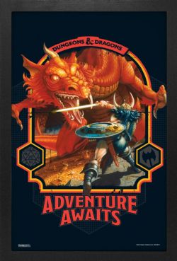 DUNGEONS AND DRAGONS -  ADVENTURE AWAITS - FRAMED PICTURE (13