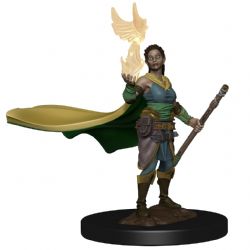 DUNGEONS & DRAGONS -  ELF FEMALE DRUID -  ICONS OF THE REALMS PREMIUM PAINTED FIGURE
