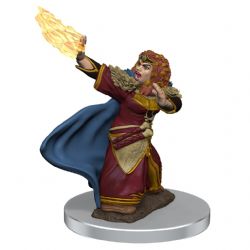 DUNGEONS & DRAGONS -  FEMALE DWARF WIZARD -  ICONS OF THE REALMS