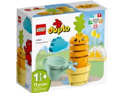 DUPLO -  GROWING CARROT (11 PIECES) 10981