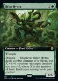 Dominaria United -  Briar Hydra