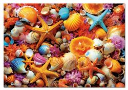 EDUCA -  SHELL COLLAGE (1000 PIECES)
