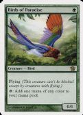 EIGHTH EDITION -  Birds of Paradise