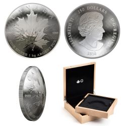 EMBLEM OF CANADA -  MAPLE LEAF FOREVER 08 -  2018 CANADIAN COINS