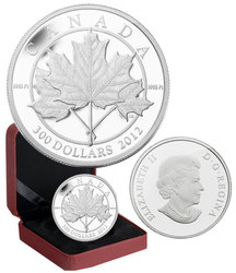 EMBLEM OF CANADA -  MAPLE LEAF FOREVER -  2012 CANADIAN COINS 01