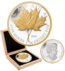 EMBLEM OF CANADA -  MAPLE LEAF FOREVER -  2013 CANADIAN COINS 03