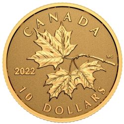 EVERLASTING MAPLE LEAF -  2022 CANADIAN COINS