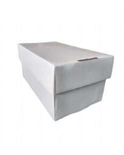 EVORETRO -  100 COUNT GRADED CARDBOARD BOX STORAGE