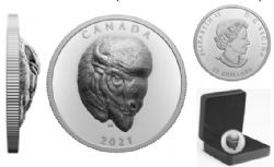 EXTRAORDINARILY HIGH RELIEF COINS -  BOLD BISON -  2021 CANADIAN COINS 02