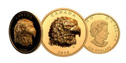 EXTRAORDINARILY HIGH RELIEF GOLD COINS -  PROUD BALD EAGLE -  2020 CANADIAN COINS 01