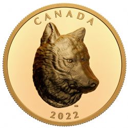 EXTRAORDINARILY HIGH RELIEF GOLD COINS -  TIMBER WOLF -  2022 CANADIAN COINS 03