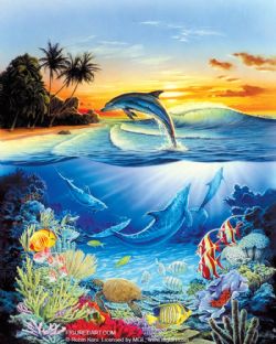 FIGURED'ART -  PAINT BY NUMBERS - DOLPHIN LAGOON (16