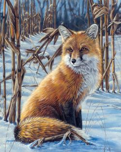 FIGURED'ART -  PAINT BY NUMBERS - FOX IN THE SNOW (16