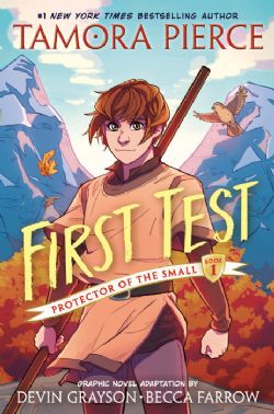 FIRST TEST -  PROTECTOR OF THE SMALL - GRAPHIC NOVEL (ENGLISH V.) 01