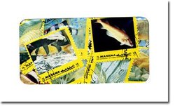FISHES -  50 ASSORTED STAMPS - FISHES, MARINE FAUNA