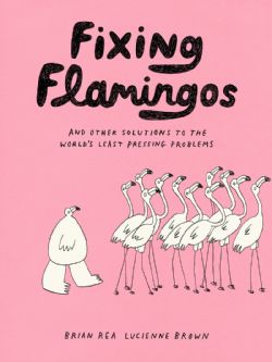 FIXING FLAMINGOS -  AND OTHER SOLUTIONS TO THE WORLD'S LEAST PRESSING PROBLEMS (ENGLISH V.)