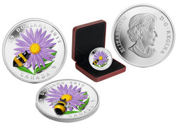 FLORA AND FAUNA -  ASTER WITH VENETIAN GLASS BUMBLE BEE -  2012 CANADIAN COINS 02