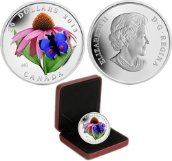 FLORA AND FAUNA -  PURPLE CONEFLOWER AND EASTERN TAILED BLUE -  2013 CANADIAN COINS 03