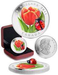 FLORA AND FAUNA -  TULIP WITH VENETIAN GLASS LADYBUG -  2011 CANADIAN COINS 01