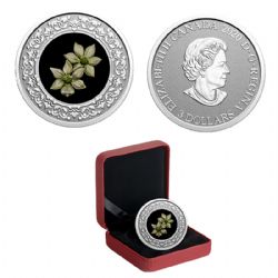 FLORAL EMBLEMS OF CANADA -  BRITISH COLUMBIA: PACIFIC DOGWOOD -  2020 CANADIAN COINS 06