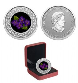 FLORAL EMBLEMS OF CANADA -  NEW BRUNSWICK: PURPLE VIOLET -  2020 CANADIAN COINS 04
