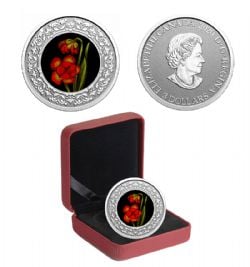 FLORAL EMBLEMS OF CANADA -  NEWFOUNDLAND AND LABRADOR: PITCHER PLANT -  2021 CANADIAN COINS 10