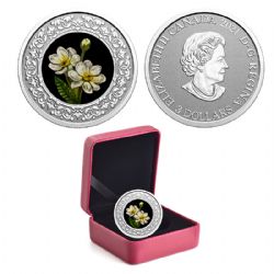FLORAL EMBLEMS OF CANADA -  NORTHWEST TERRITORIES: MOUNTAIN AVENS -  2021 CANADIAN COINS 11