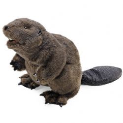 FOLKMANIS -  BEAVER