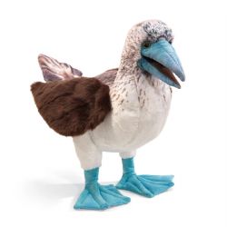 FOLKMANIS -  BOBBY BLUE-FOOTED