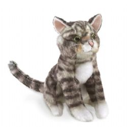 FOLKMANIS -  MINI CAT TABBY