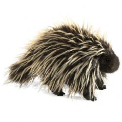 FOLKMANIS -  PORCUPINE