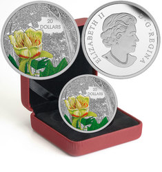 FORESTS OF CANADA -  CAROLINIAN TULIP-TREE -  2015 CANADIAN COINS 01