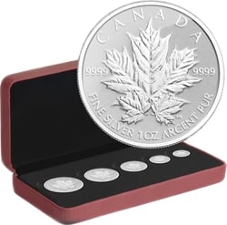FRACTIONAL SETS -  MAPLE LEAVES - 5-COIN SET -  2013 CANADIAN COINS 03