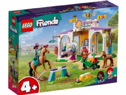 FRIENDS -  HORSE TRAINING (134 PIECES) 41746