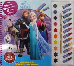 FROZEN -  LA REINE DES NEIGES - LIVRE À PEINDRE -  DISNEY'S PRINCESSES