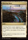 Foundations Jumpstart -  Thriving Moor