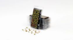 GAMERS GRASS -  DEER FERN -  LASER PLANTS