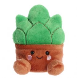 GIGI SUCCULENT (5