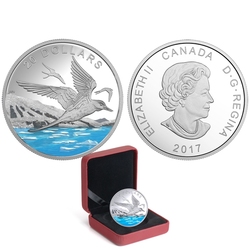 GLISTENING NORTH -  THE ARCTIC TERN -  2017 CANADIAN COINS 02
