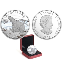 GLISTENING NORTH -  THE POLAR BEAR -  2017 CANADIAN COINS 01