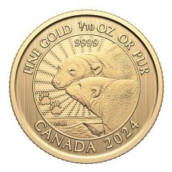 GOLD PREMIUM BULLION -  THE MAJESTIC POLAR BEARS - 1/10 OUNCE PURE GOLD -  2024 CANADIAN COINS 04