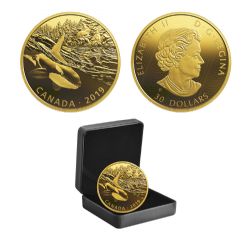 GOLDEN REFLECTIONS: PREDATOR AND PREY -  ORCA AND SEA LIONS -  2019 CANADIAN COINS 01