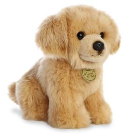 GOLDEN RETRIEVER PUP (11