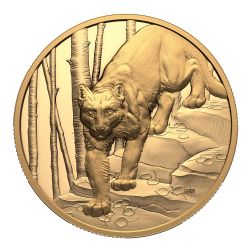 GREAT HUNTERS (GOLD) -  COUGAR -  2024 CANADIAN COINS 02