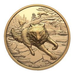 GREAT HUNTERS (GOLD) -  GREY WOLF -  2025 CANADIAN COINS 03