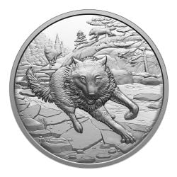 GREAT HUNTERS -  GREY WOLF -  2025 CANADIAN COINS 03